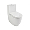 Shower toilets